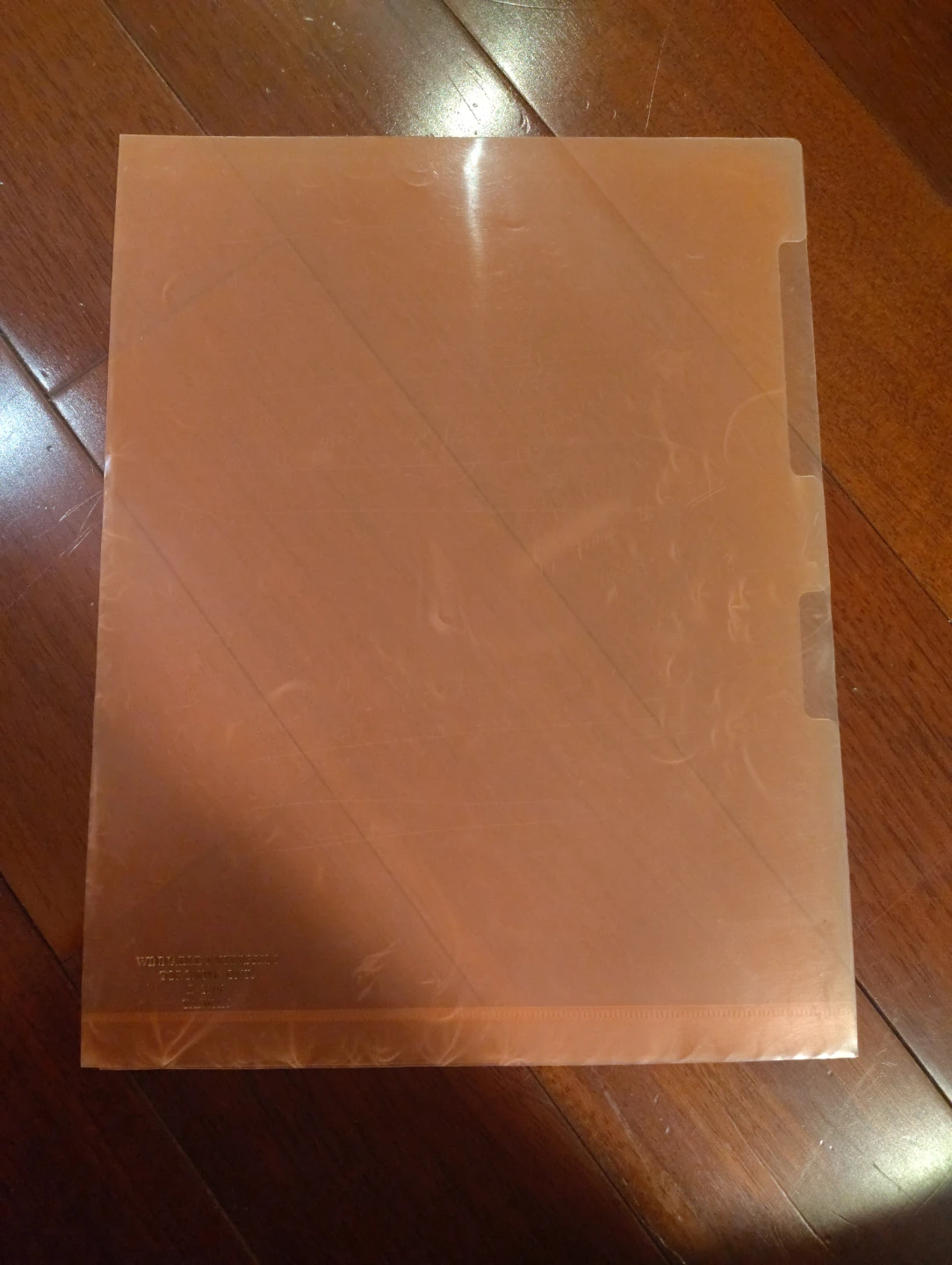 Clear Plastic Document Folder - photo 3