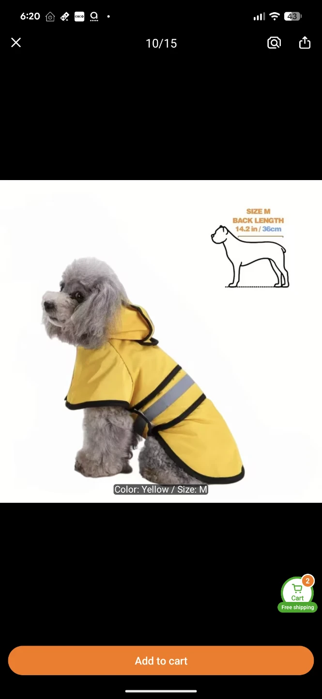Doggo Bundle - photo 2