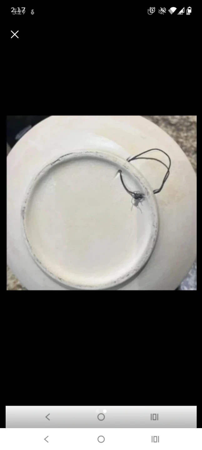 Decorative Ceramic Plate with Artwork - photo 2