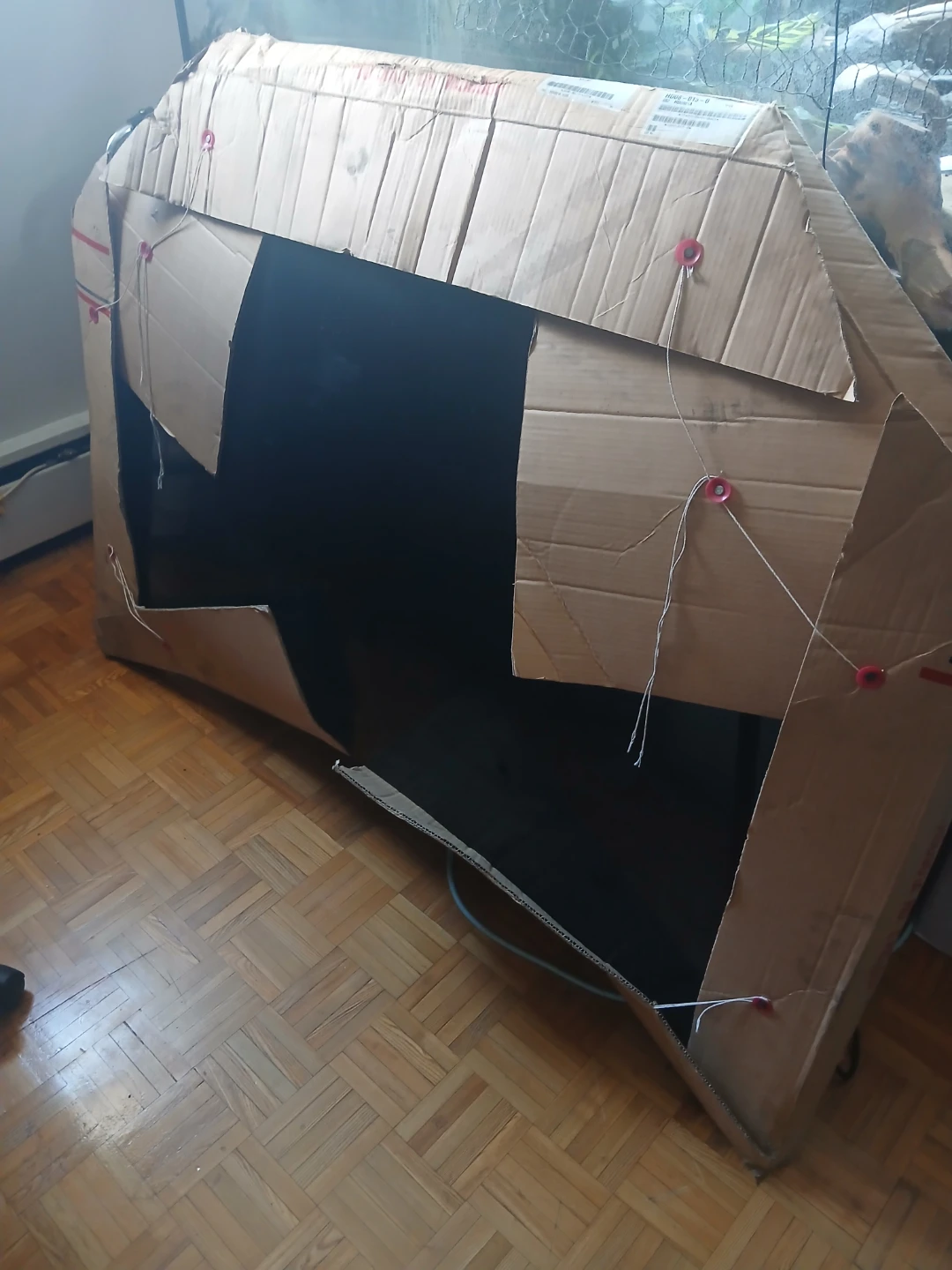 Brand new hood for 2001 honda civic