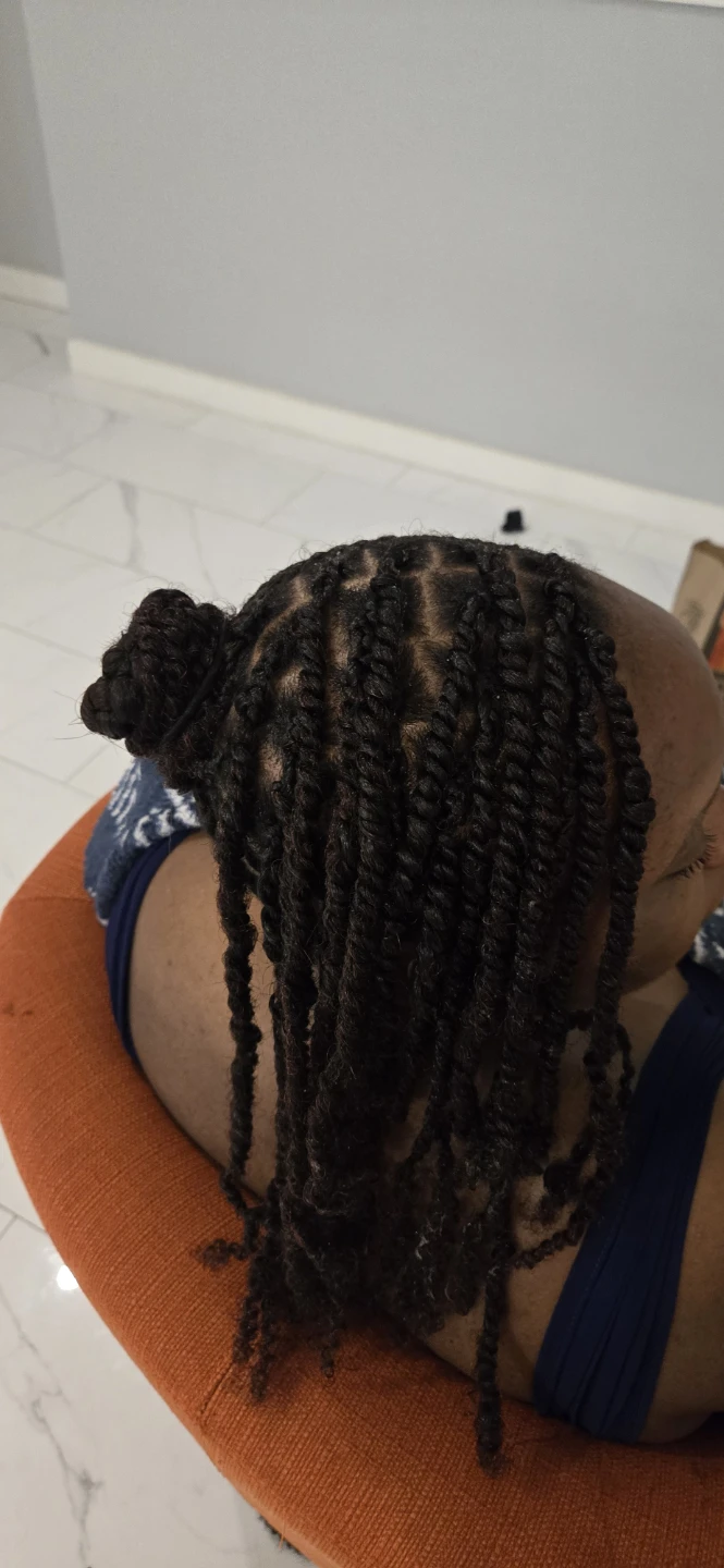 Braided Twists Hair Style - photo 2