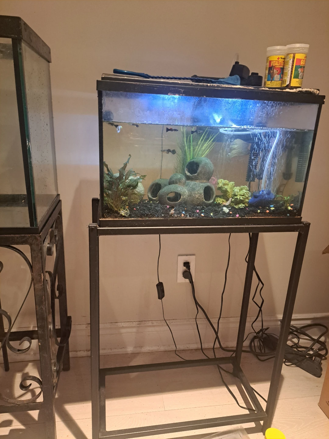 Aquarium with Stand and Accessories