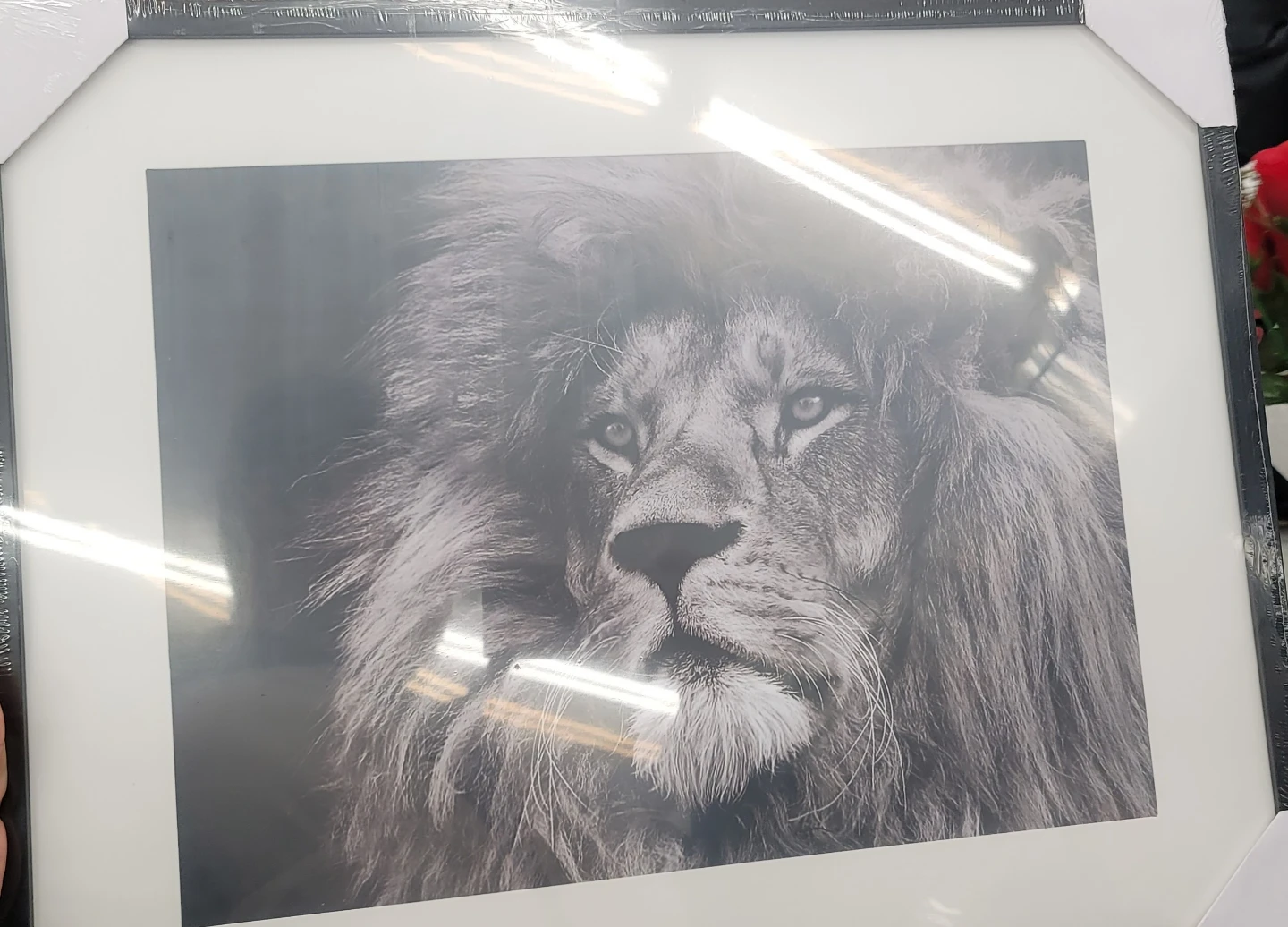 Framed Lion Wall Art Print - photo 2