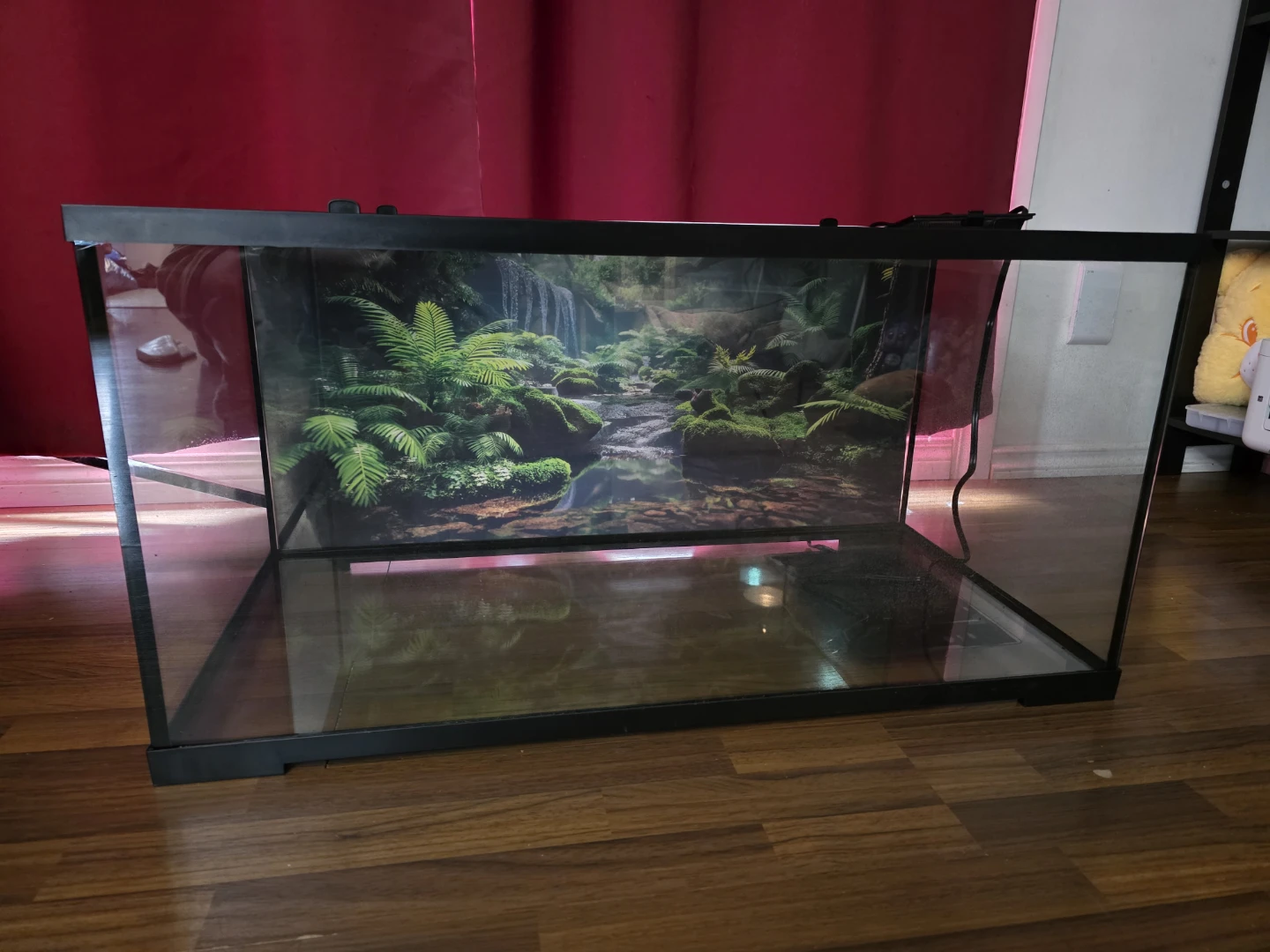 Terrarium Glass Tank