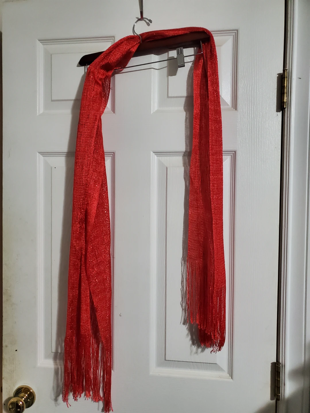 Red Sparkly Scarf with Fringe