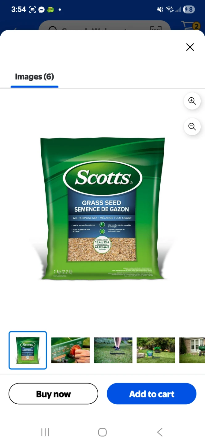Scotts All Purpose Grass Seed Mix, 1 kg (2.2 lb)