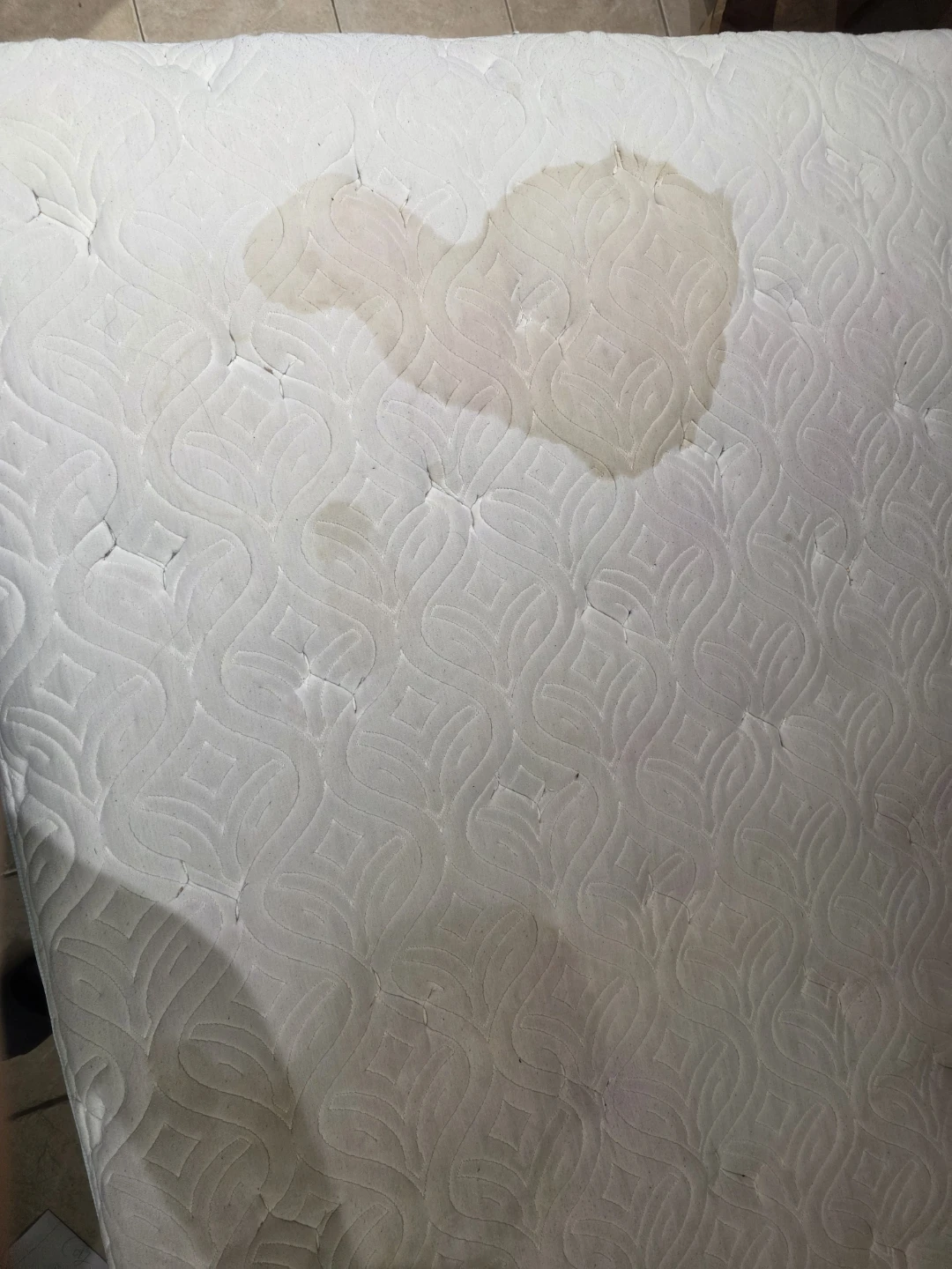 Chiro Foam Queen Size Mattress