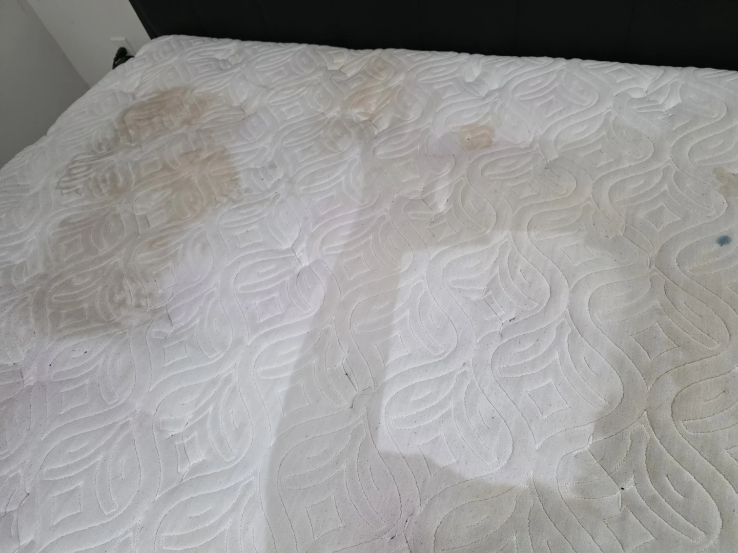 Chiro Foam Queen Size Mattress - photo 3
