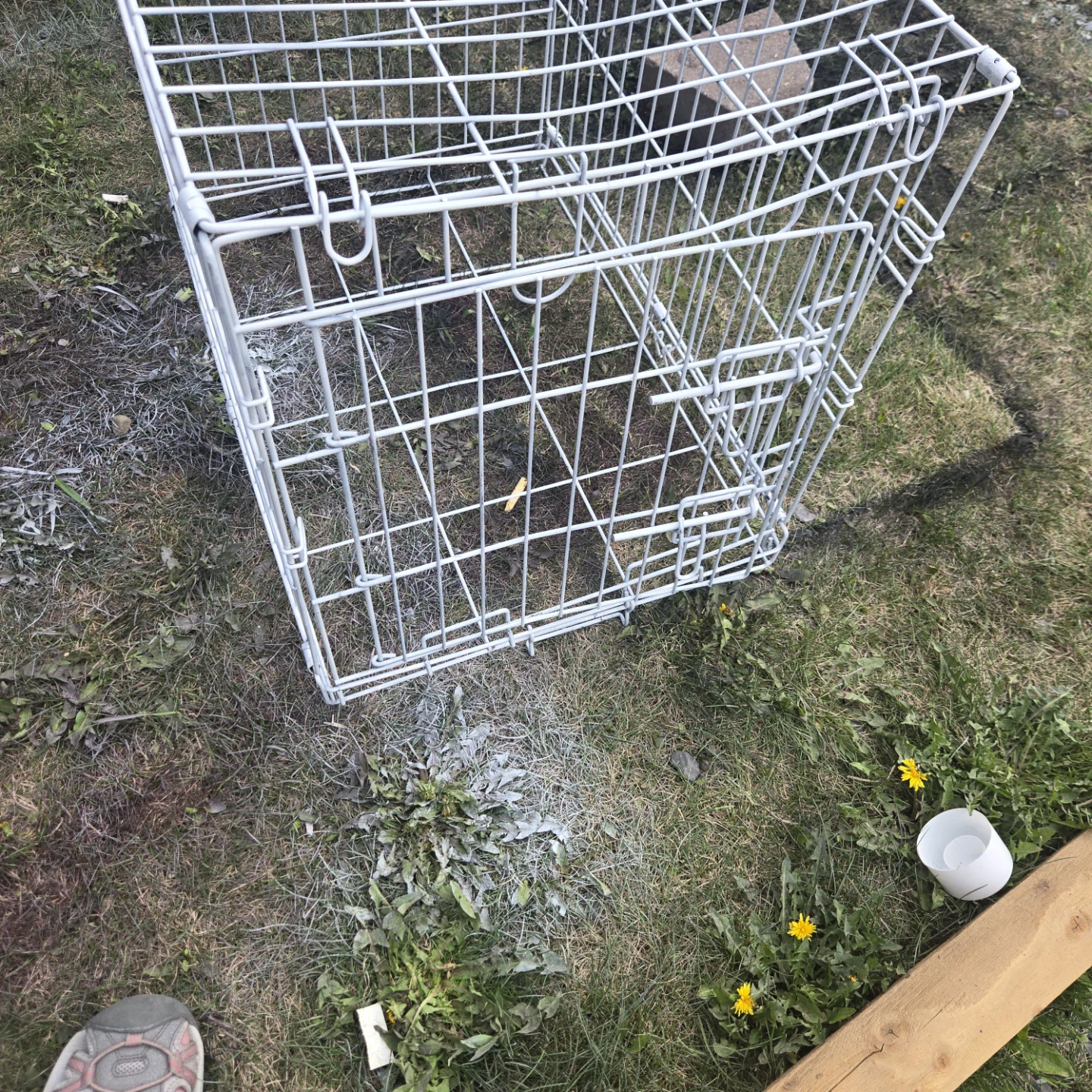 Wire Pet Crate - photo 3