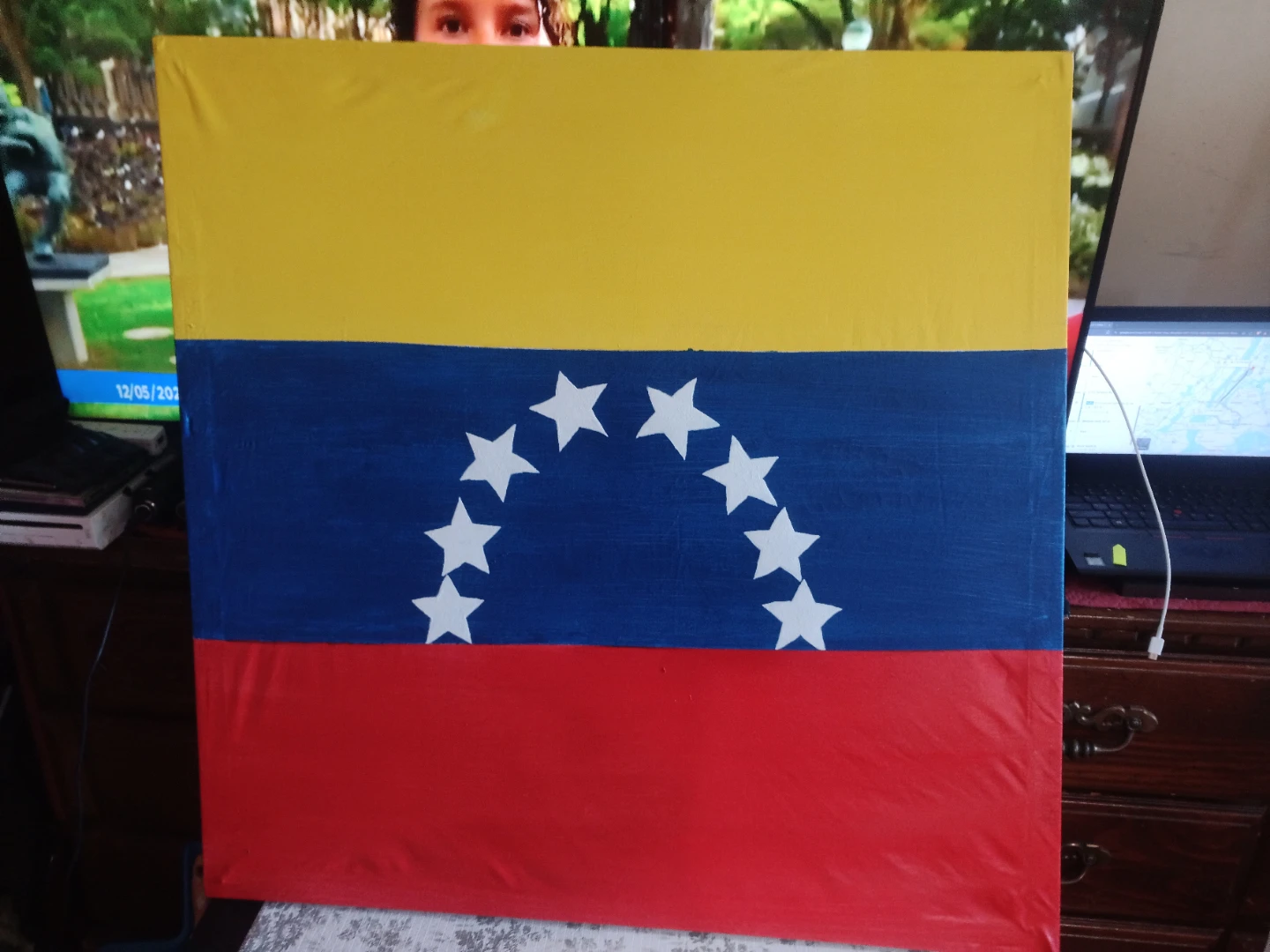 Venezuelan Flag free hand painted