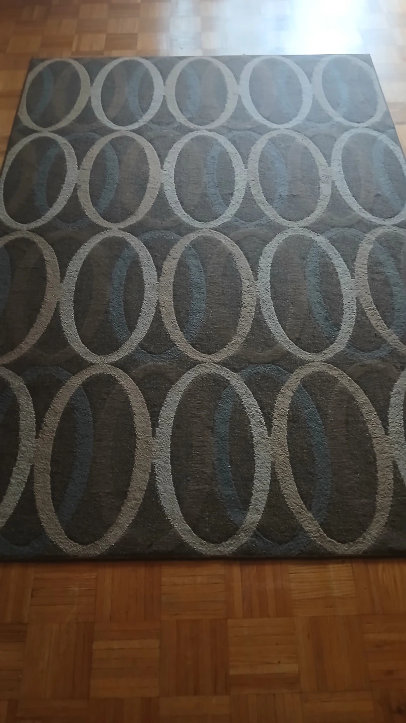 Large Area Rug with Geometric Circle Pattern