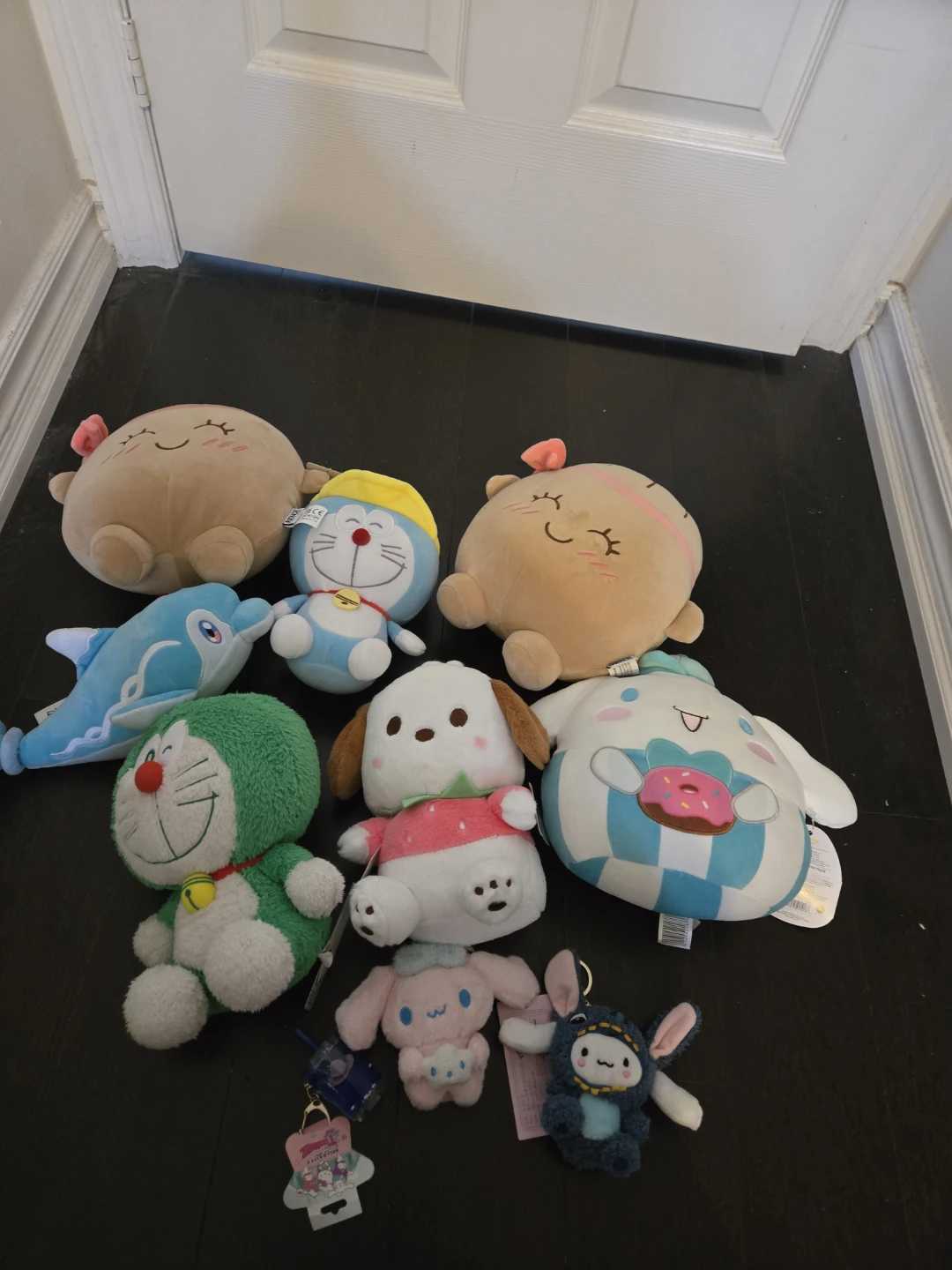 Assorted Plushies (Cinnamoroll, Pochacco + more!) CASH ONLY