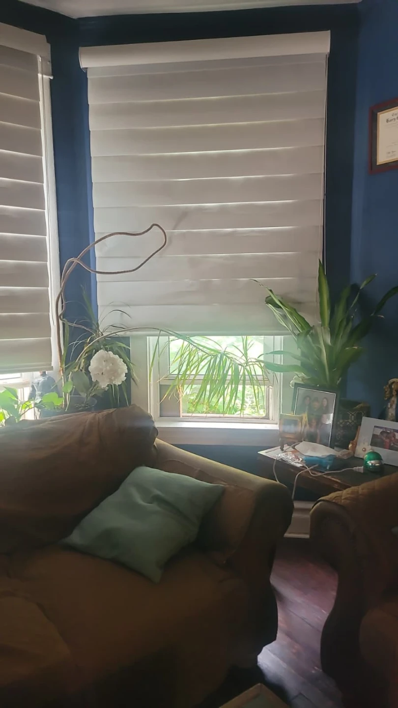 Hunter Douglas Pirouette shade
