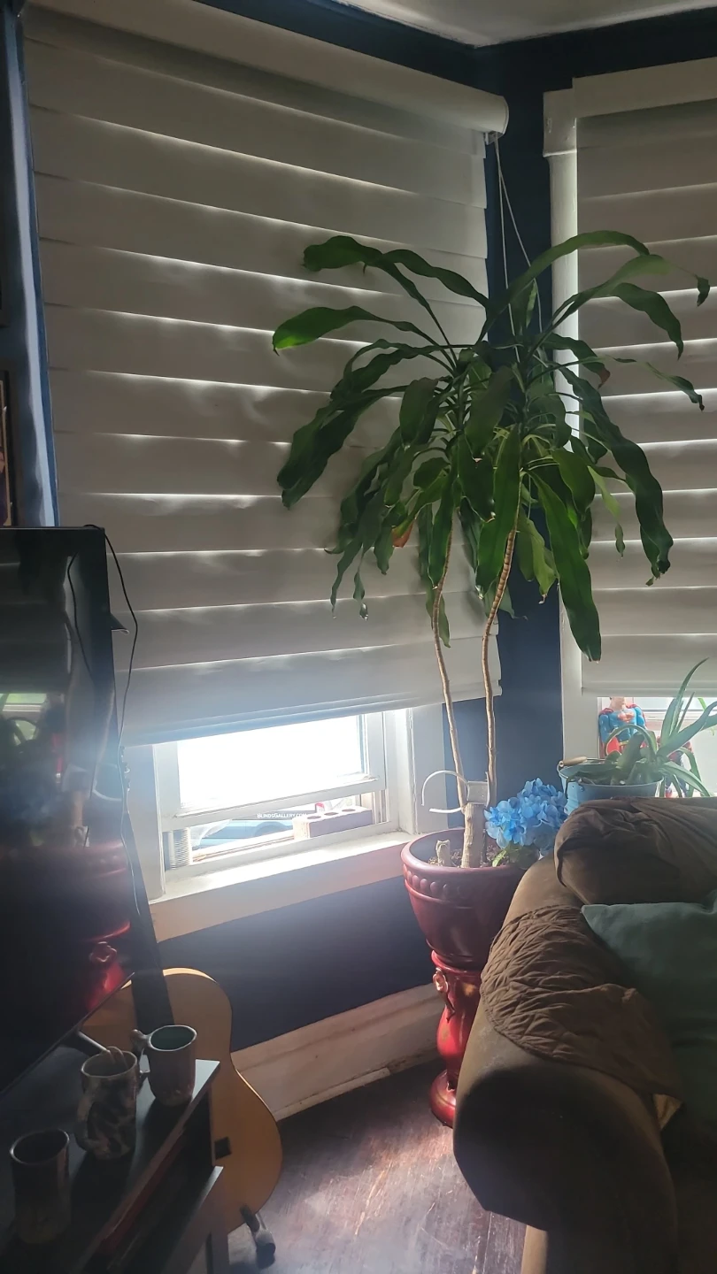 Hunter Douglas Pirouette shade - photo 2