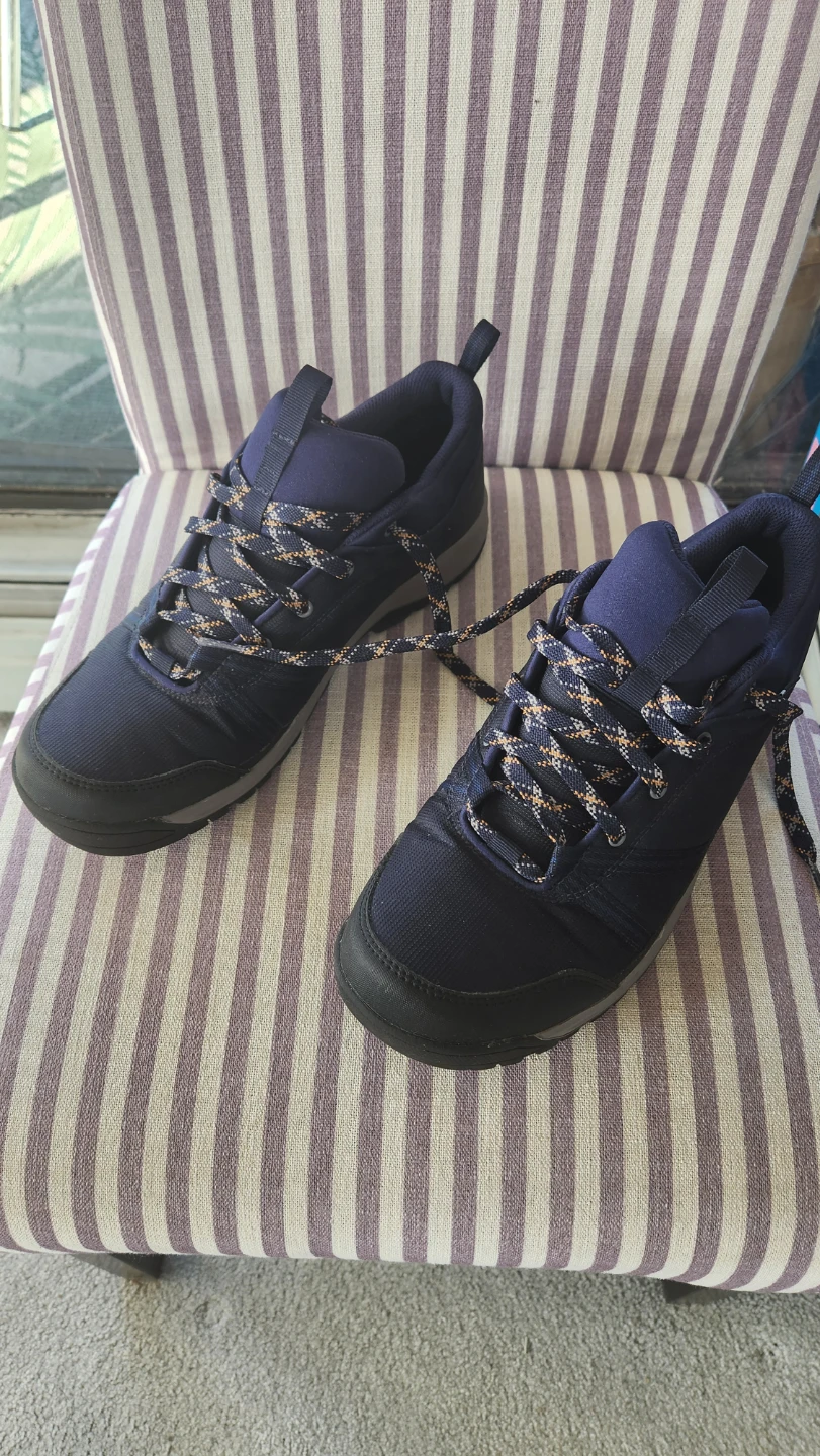 Quechua hiking shoes