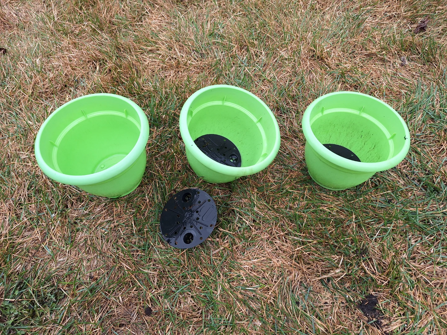 3 x 6" Planter Pots