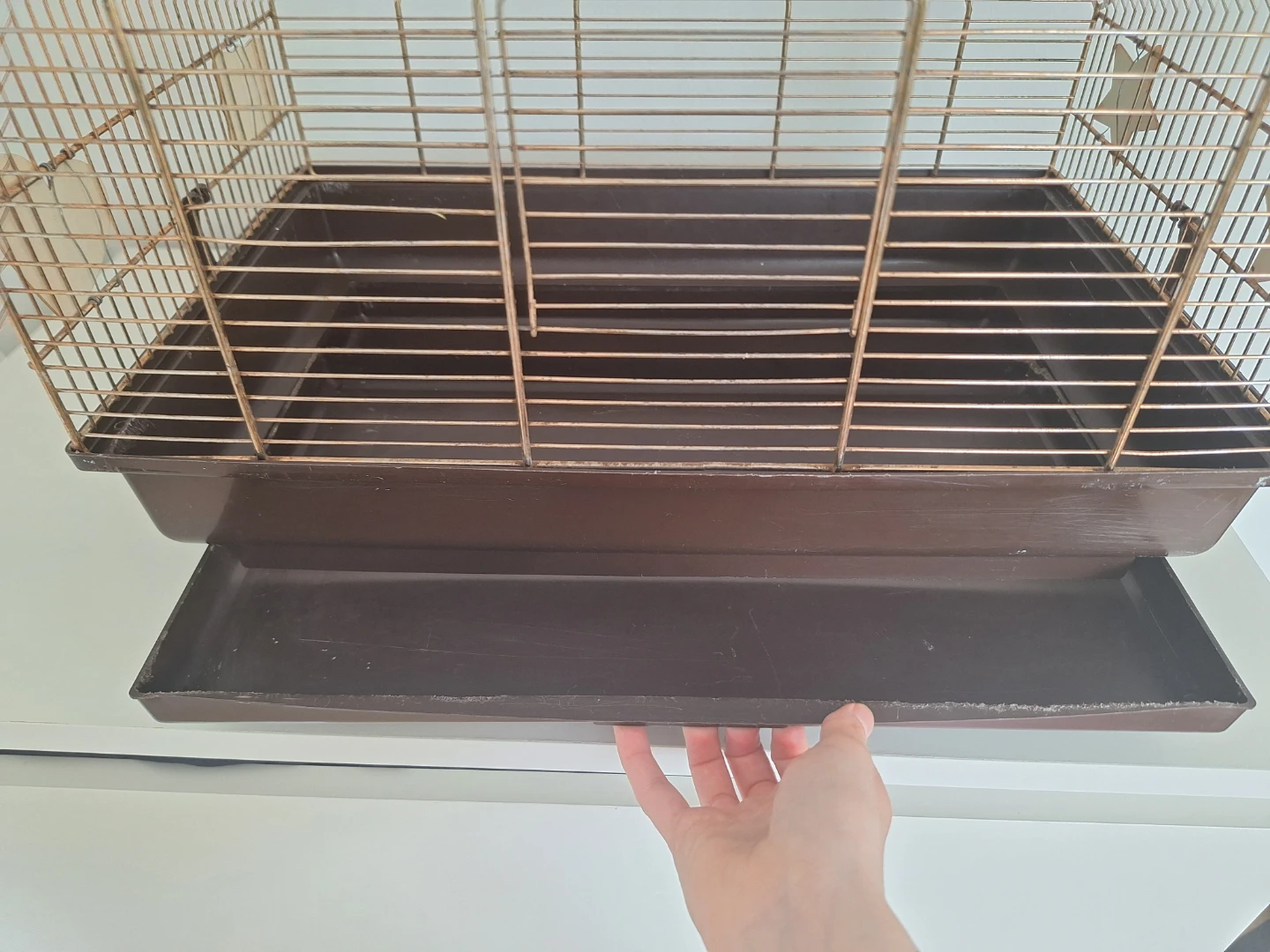 Medium BIRD cage - photo 4