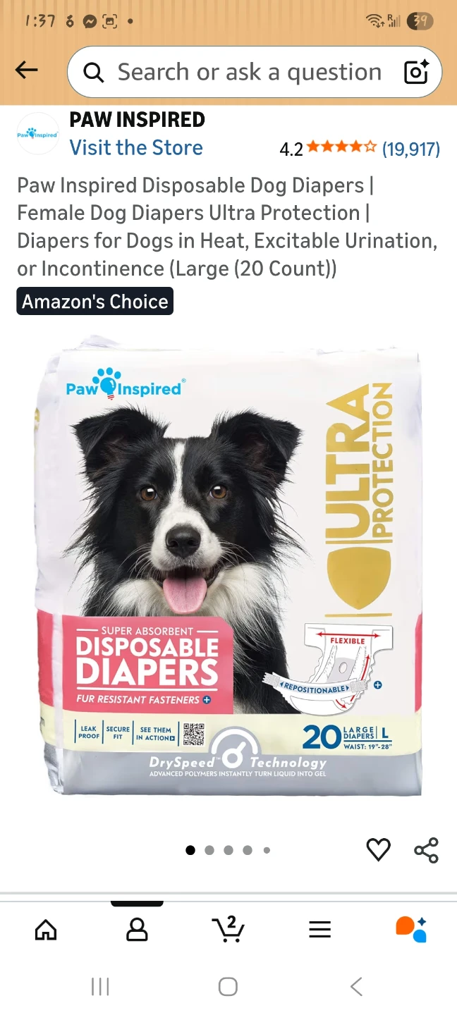 Disposable Dog Diapers - Large