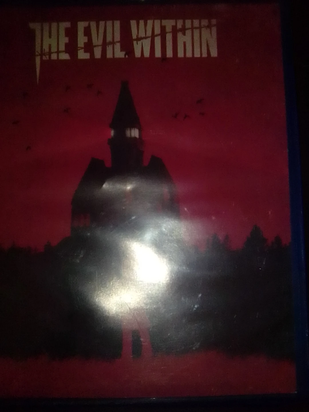 The Evil Within Video Game