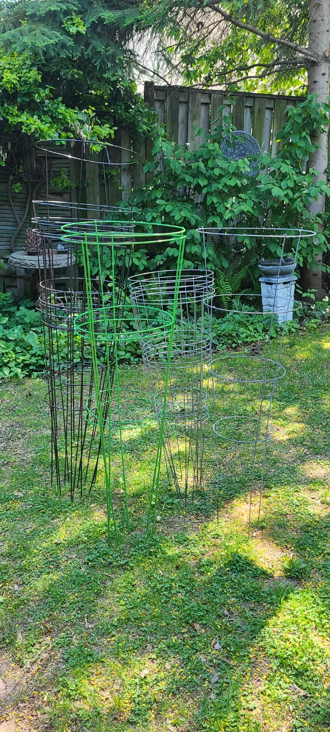 Tomato Baskets Lot $50 for All 14