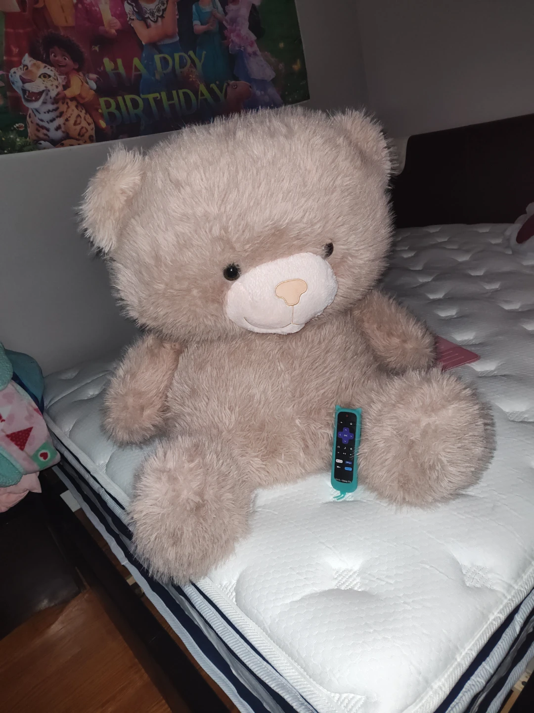Large Plush Teddy Bear