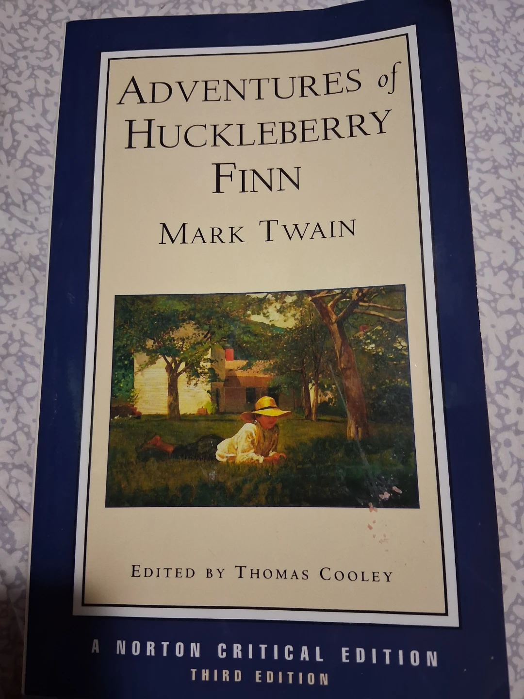 Adventures of Huckleberry Finn by Mark Twain