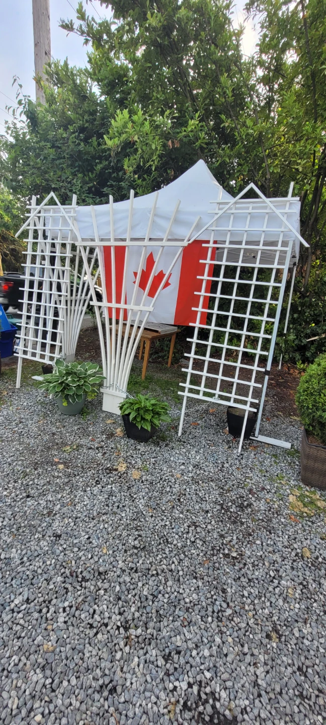 Set of 3 White Garden Trellises