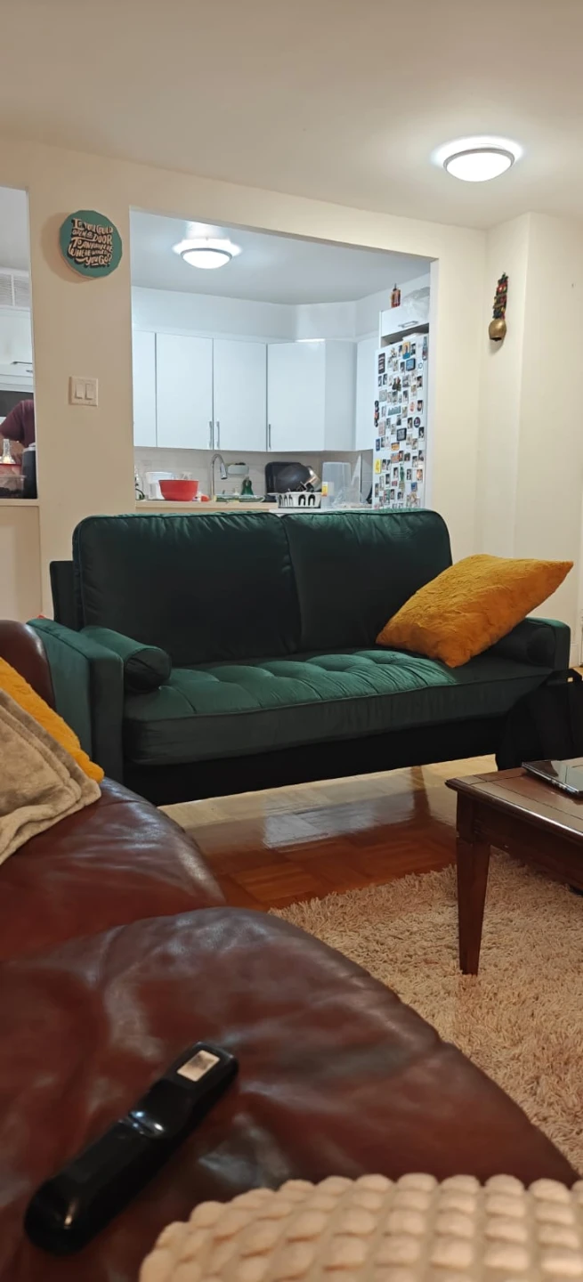 Emerald Green Velvet Loveseat Sofa - photo 4