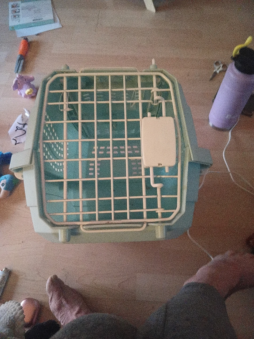 Pet Carrier