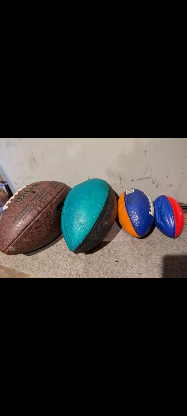 Wilson Football and 3 Smaller Balls