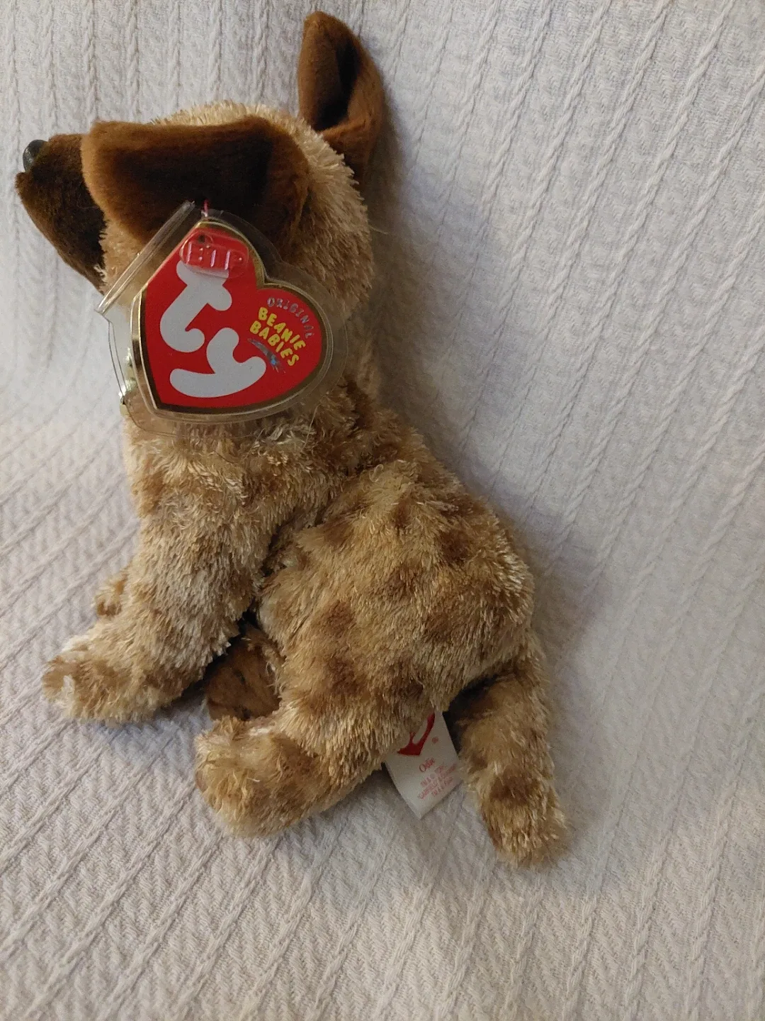 Ty Beanie Babies Odie Plush Toy - photo 2