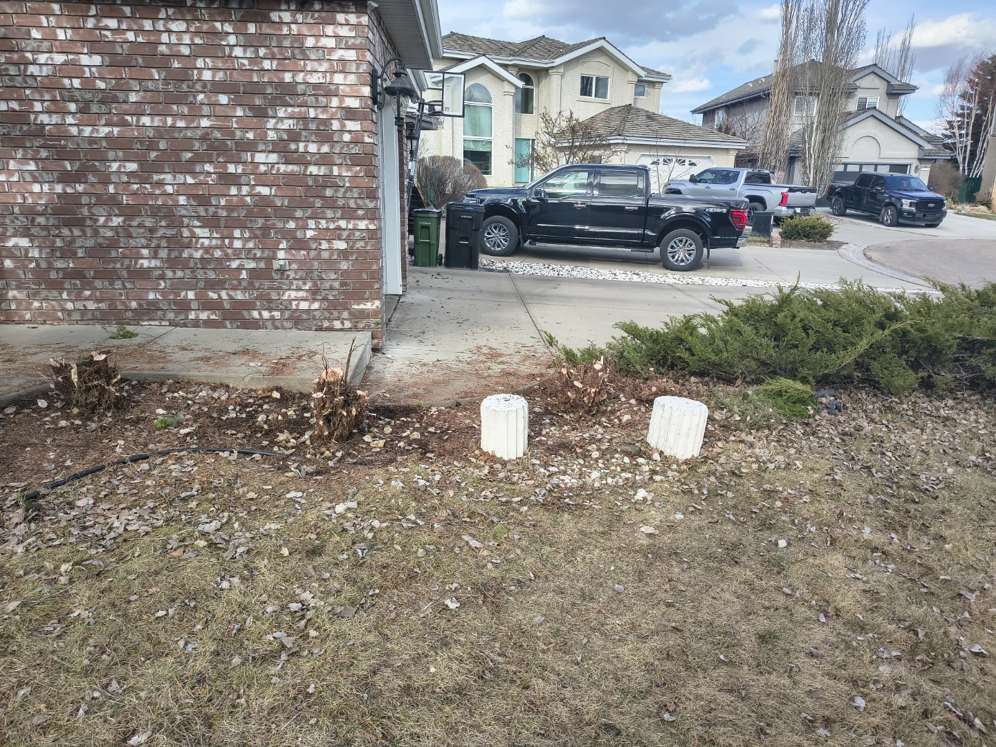 Tree Trimmings and Yard Debris