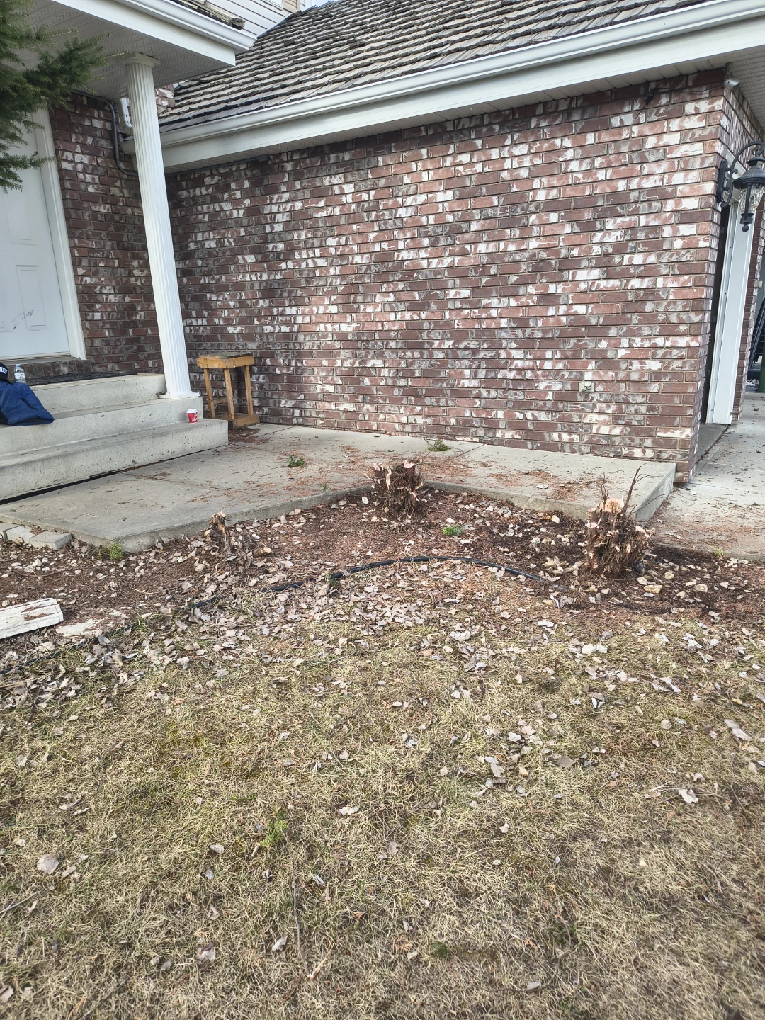Tree Trimmings and Yard Debris - photo 2
