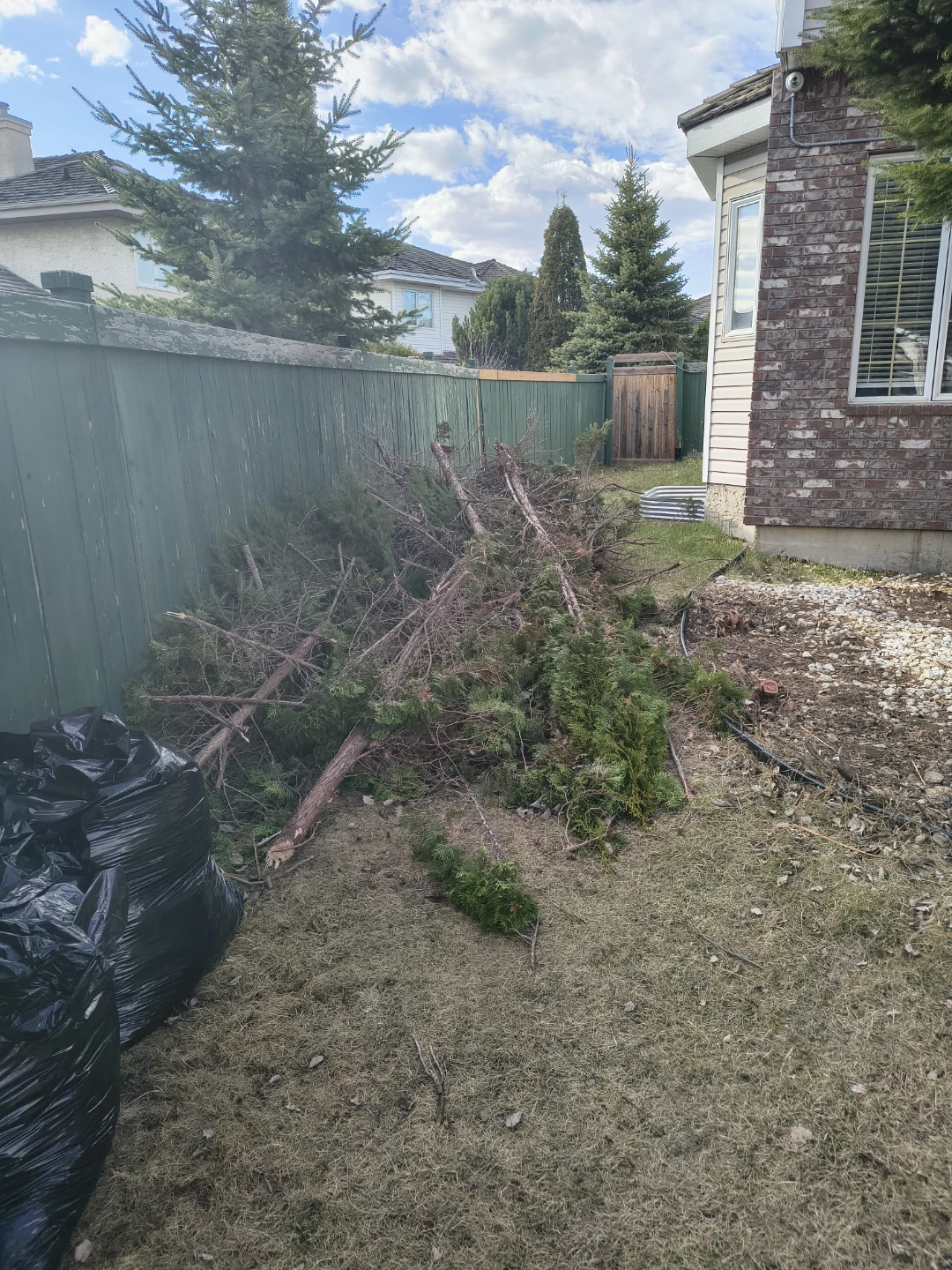 Tree Trimmings and Yard Debris - photo 5