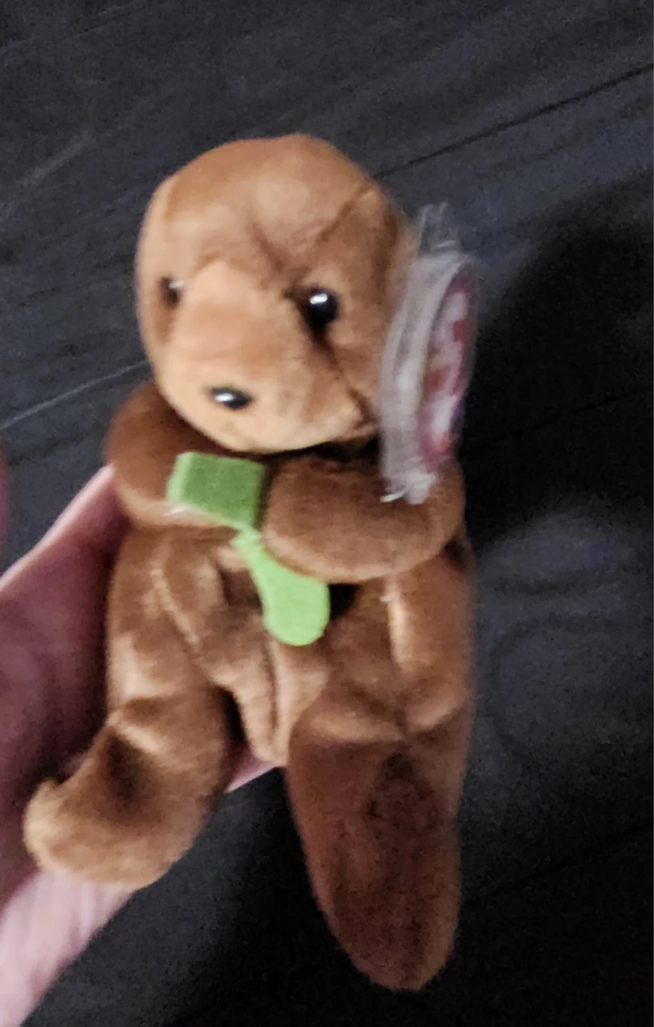 $5 ty plush
