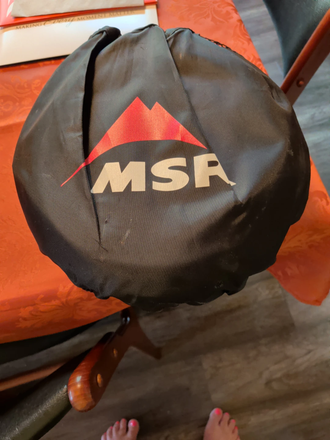 MSR Carrying Bag