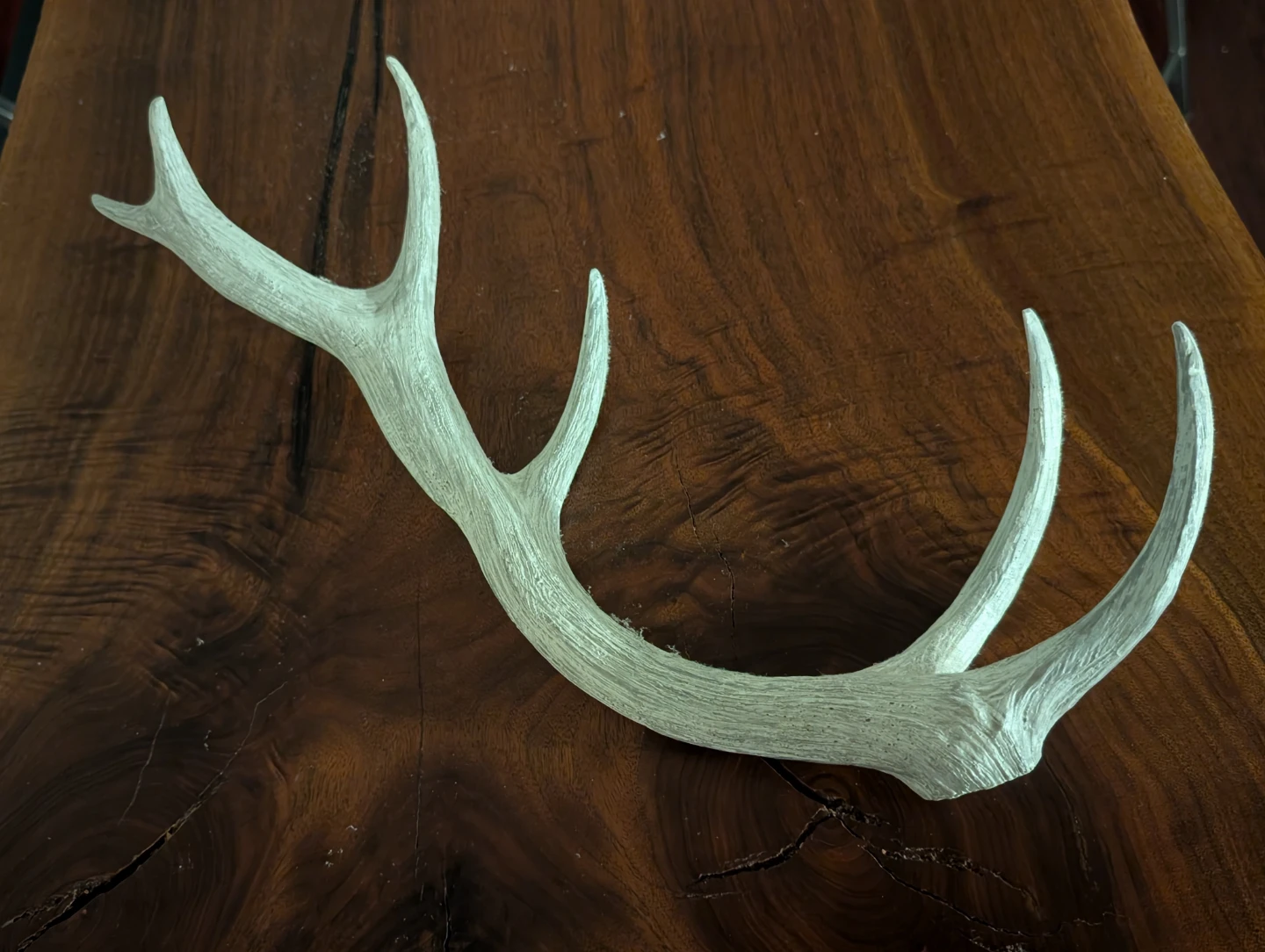 White Decorative Antler - photo 4