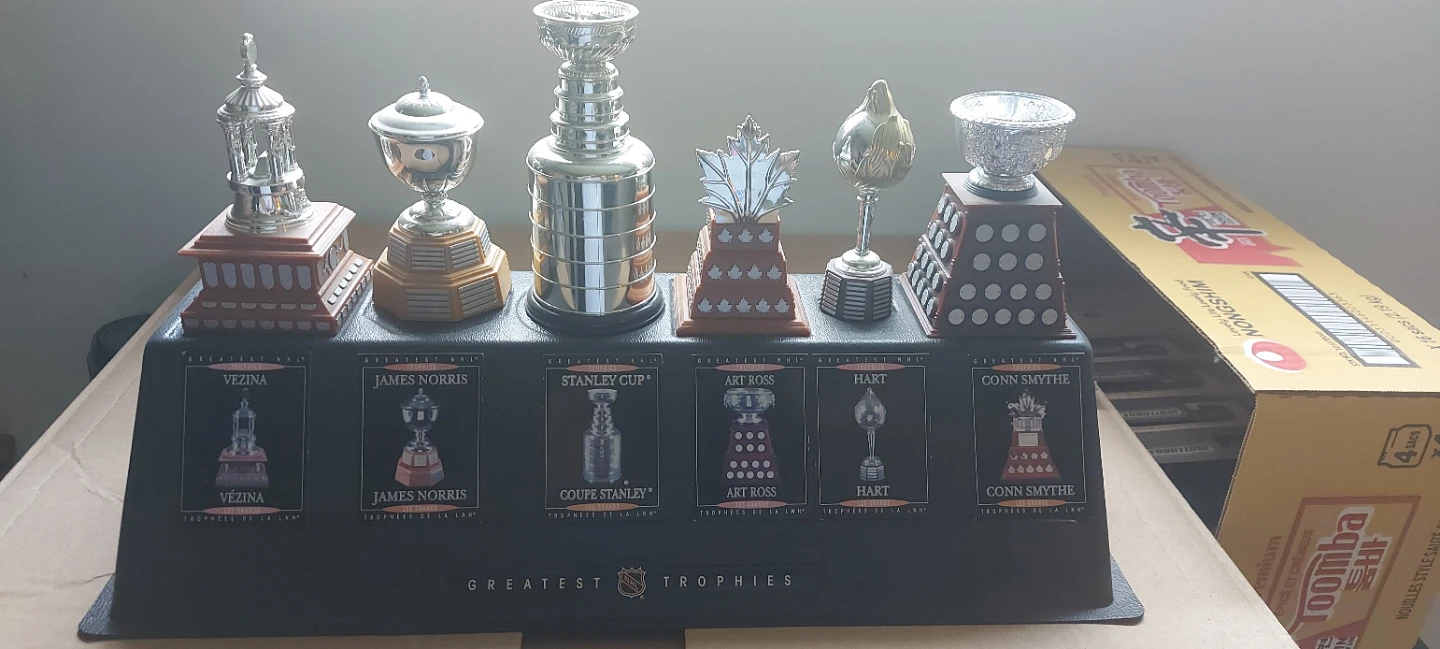 NHL Greatest Trophies Display