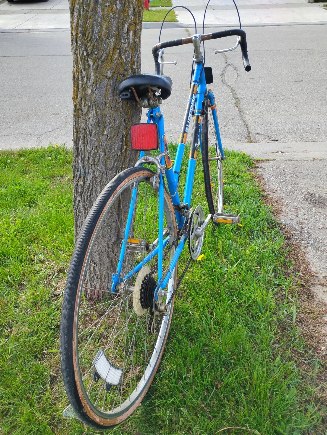 Superbe Brentwood Road Bike - photo 3