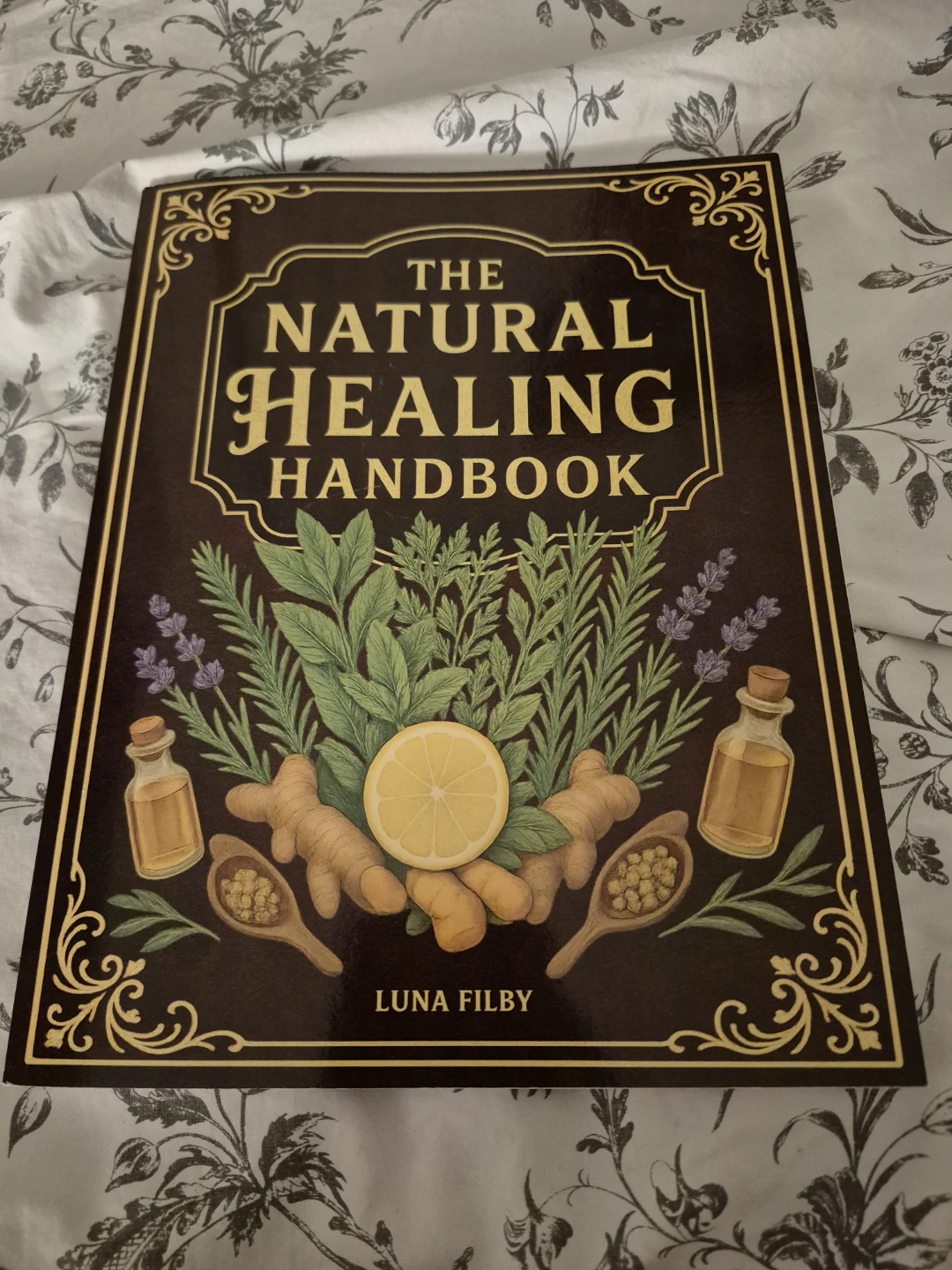 The Natural Healing Handbook by Luna Filby