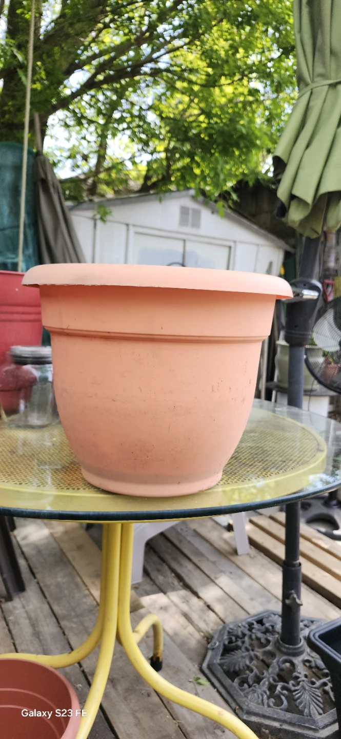 Terracotta Coloured Plant Pot