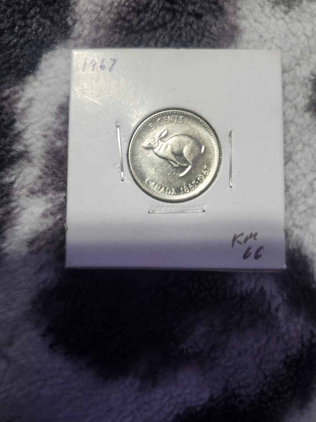 1967 Canadian 5 Cent Coin (Rabbit)