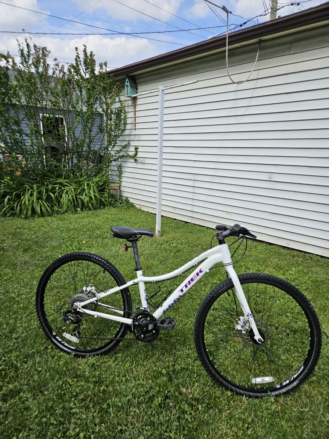 Trek Neko Hybrid Bike