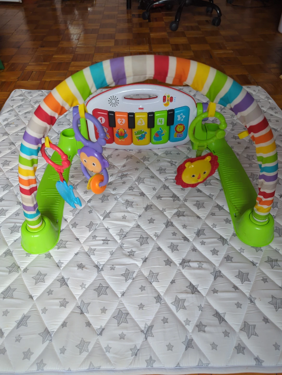 Fisher-Price Baby Activity Gym with Piano