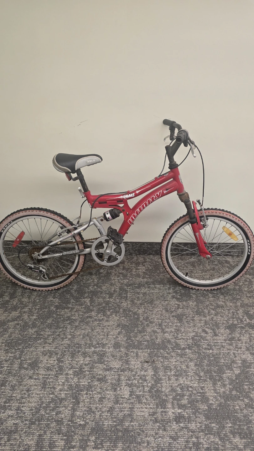 Red Infinity Quake kids mountain bike