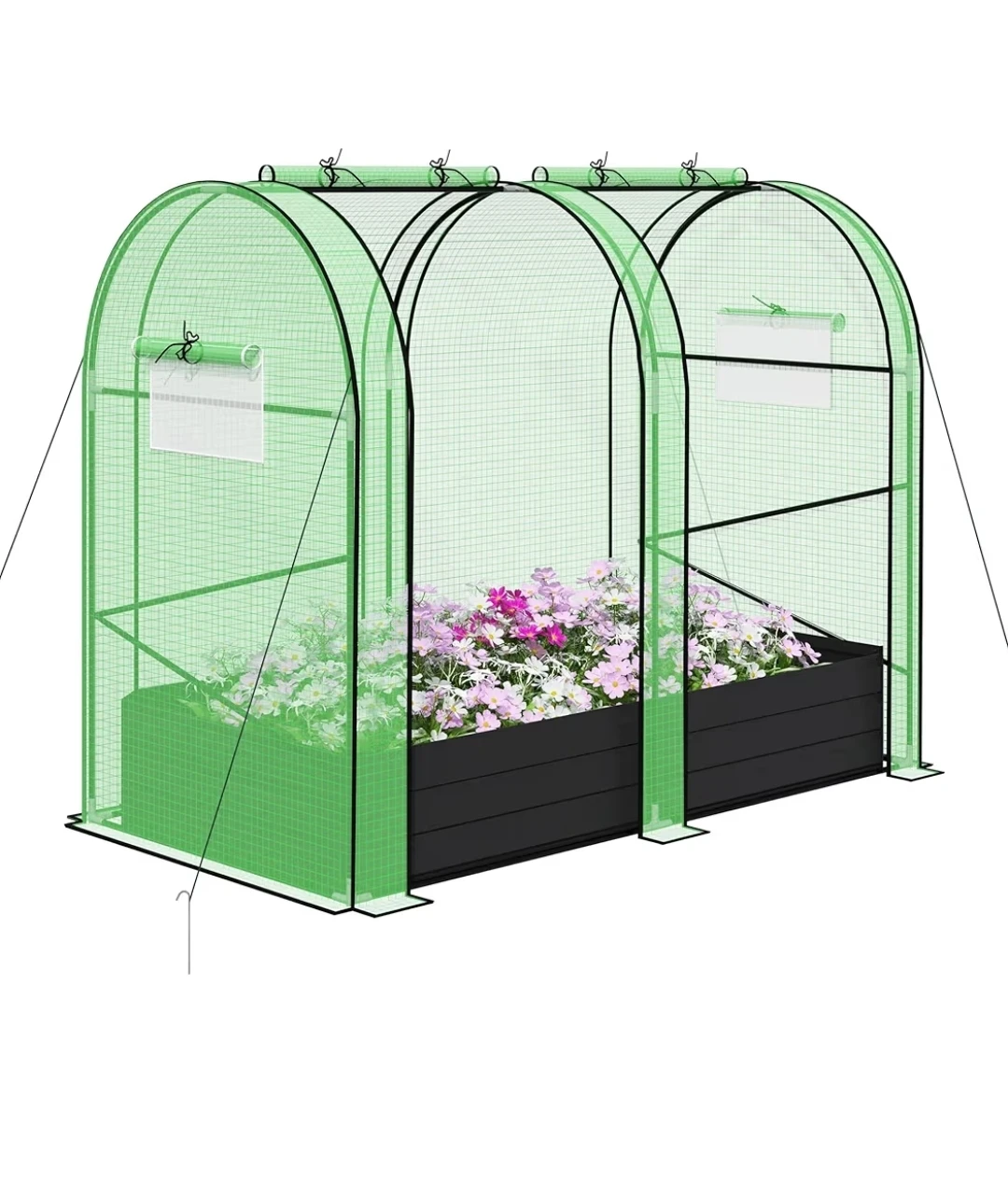Greenhouse with Raised Garden Bed