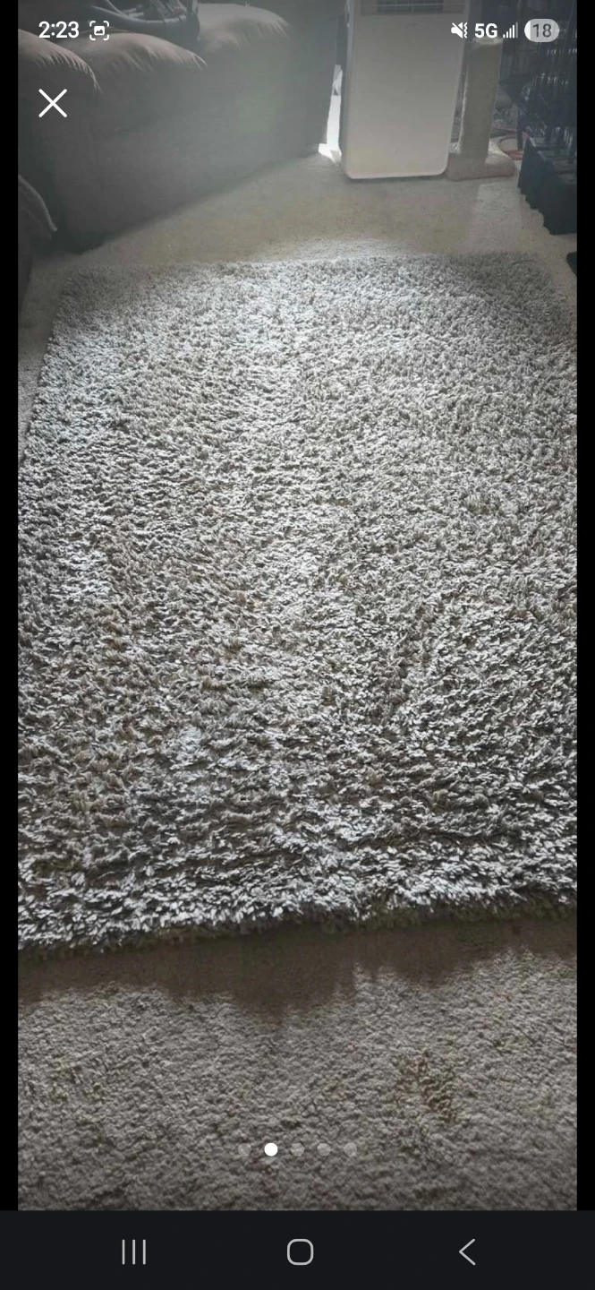 CAM Living Brooklyn Shag Area Rug - Grey