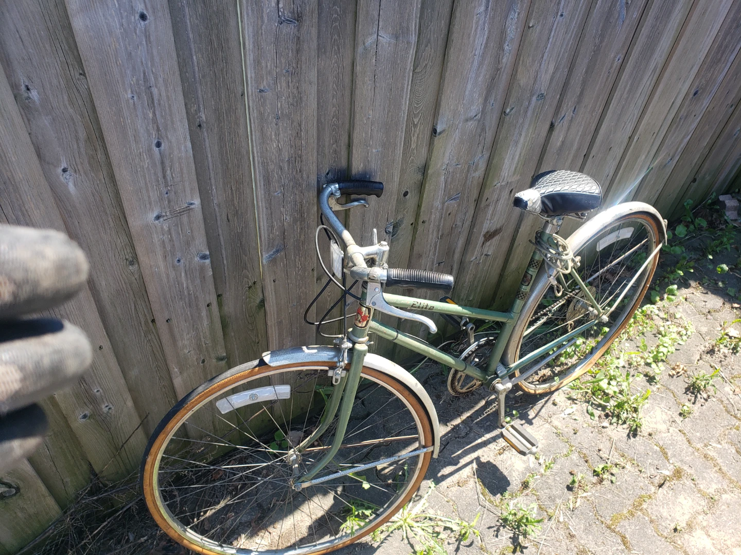 Vintage Elite Bicycle - Green - photo 3