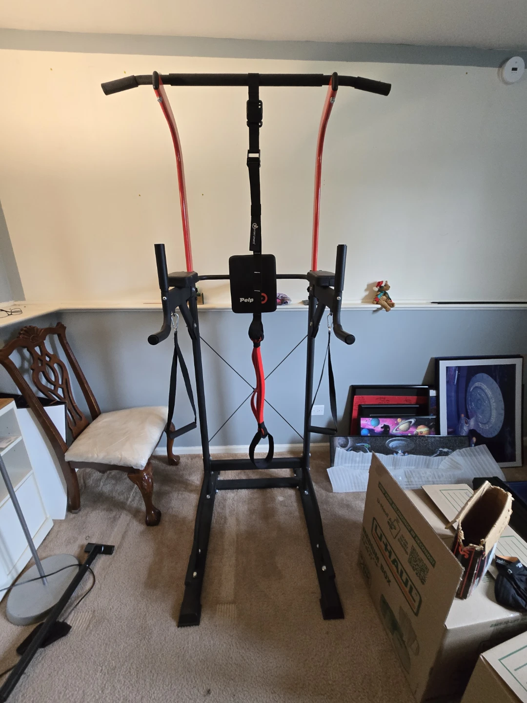 Pulp Pull Up Station