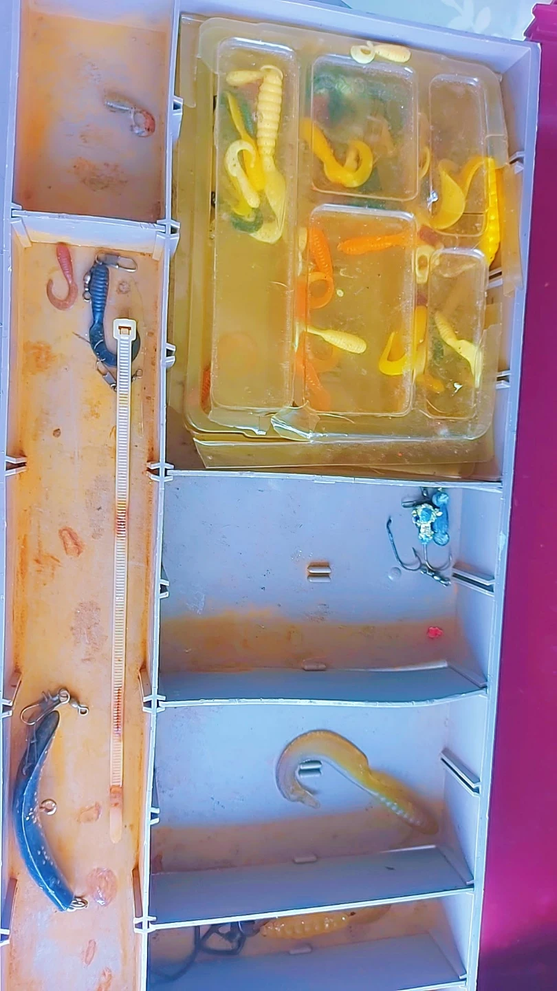 Fishing Tackle Box with Lures and Soft Baits - photo 5